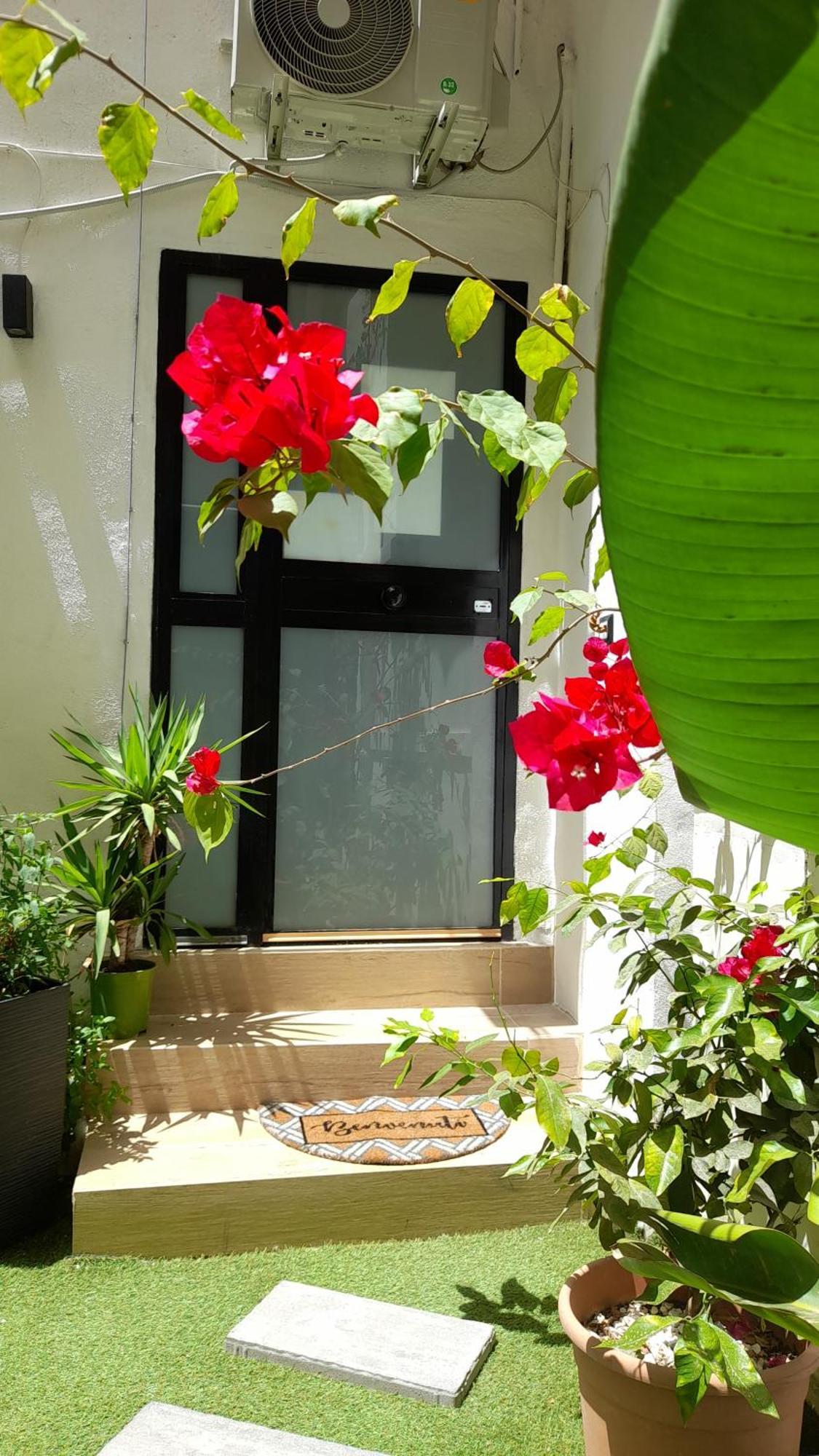 Garden Suite Apartment Palermo Luaran gambar